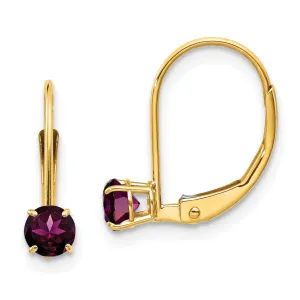 14k Yellow Gold Polished Rhodolite Garnet Earrings