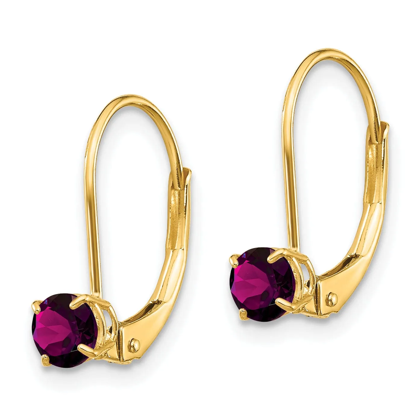 14k Yellow Gold Polished Rhodolite Garnet Earrings