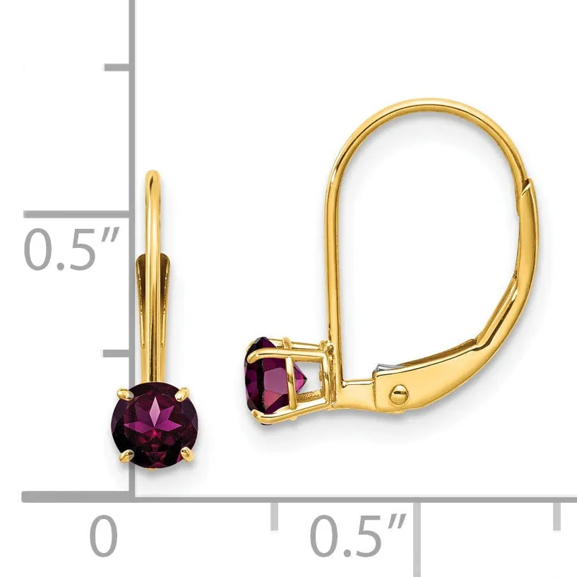 14k Yellow Gold Polished Rhodolite Garnet Earrings