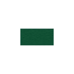 Bazzill 12x12 Mono Cardstock  - Classic Green