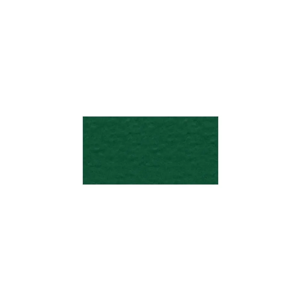 Bazzill 12x12 Mono Cardstock  - Classic Green
