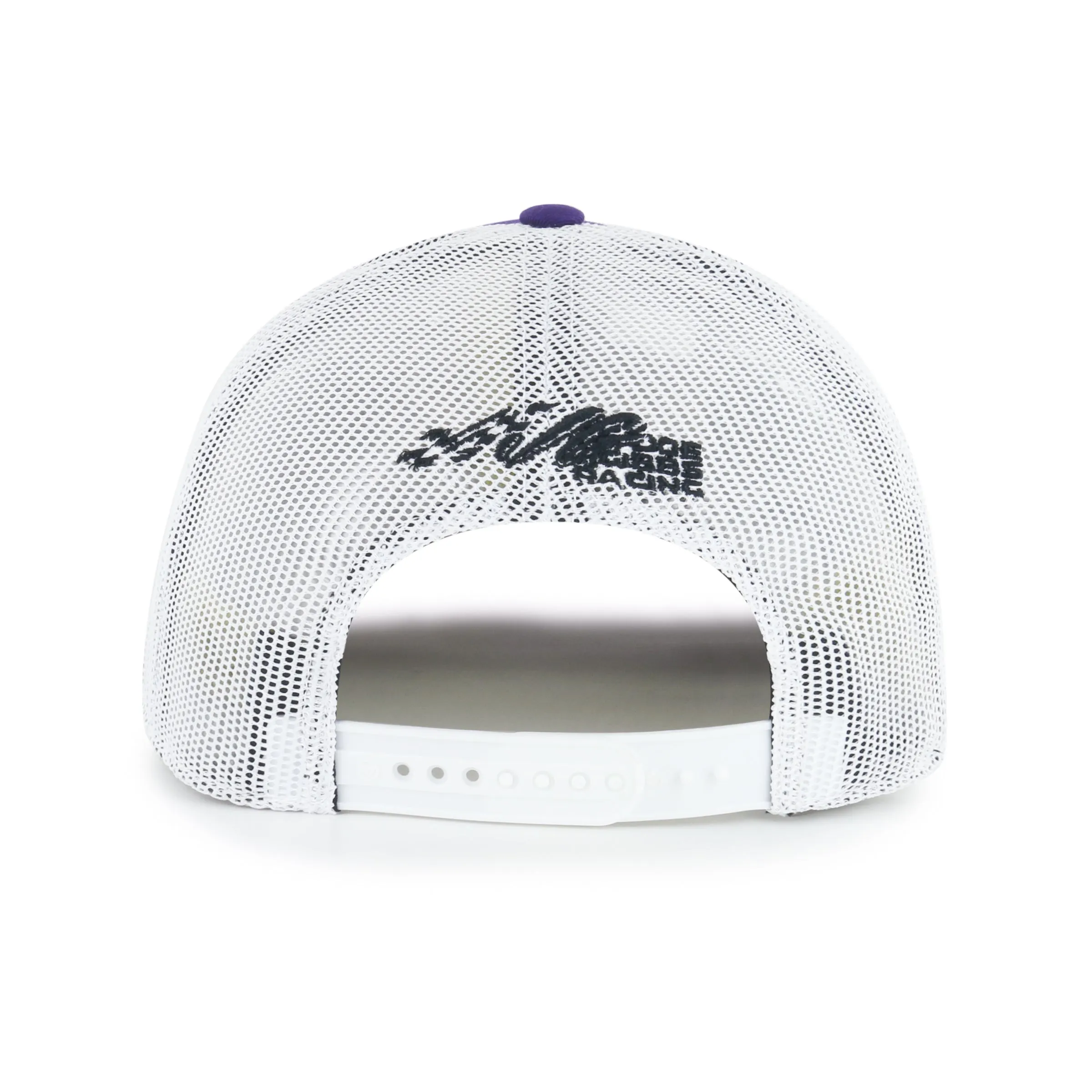 DENNY HAMLIN JOE GIBBS TRIPLE HIT '47 TRUCKER