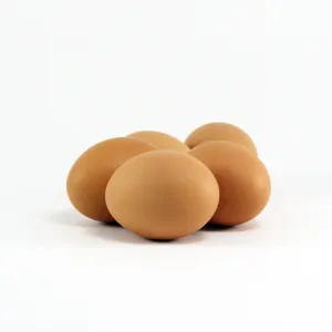 Farm Fresh Eggs