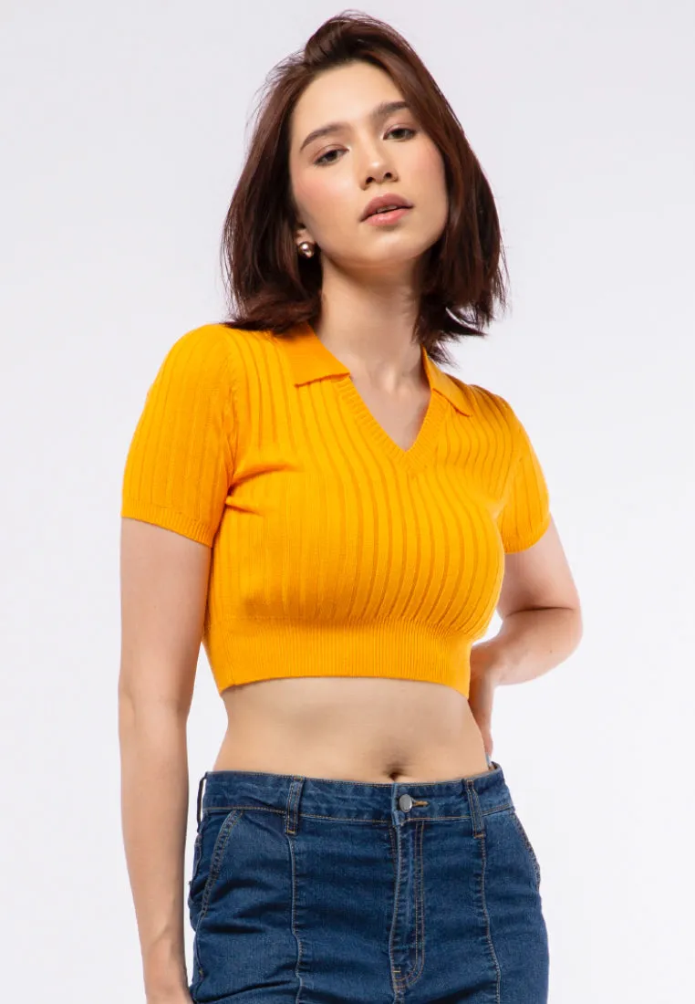 Fitted Knit Polo Top