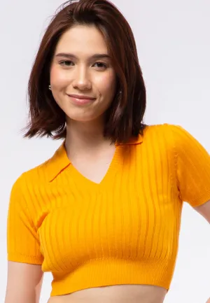 Fitted Knit Polo Top