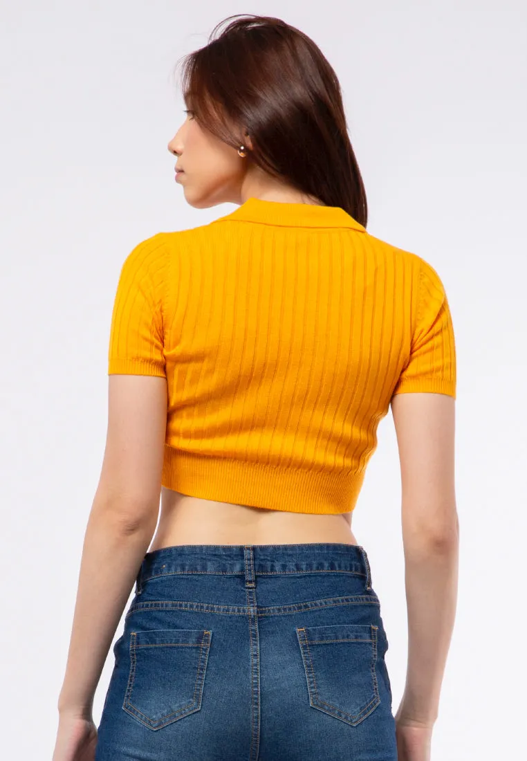 Fitted Knit Polo Top
