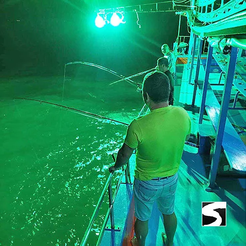 *Full Day Boat Trip - Fishing & Swimming