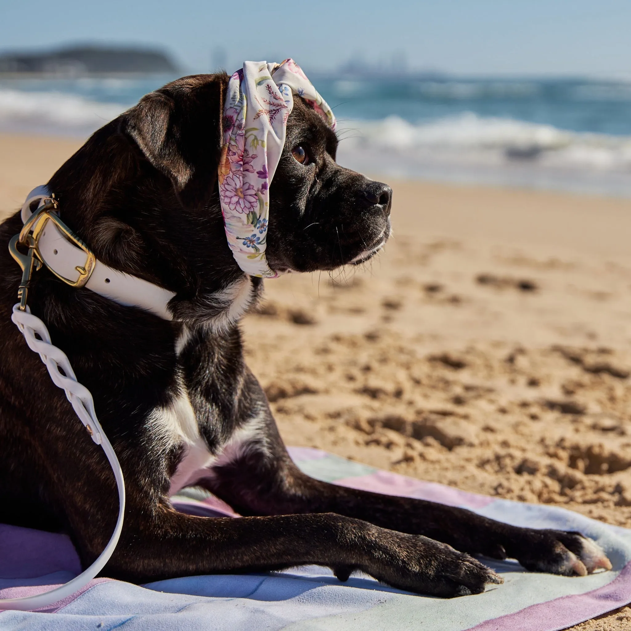 Garden Oasis Dog Twist Headband