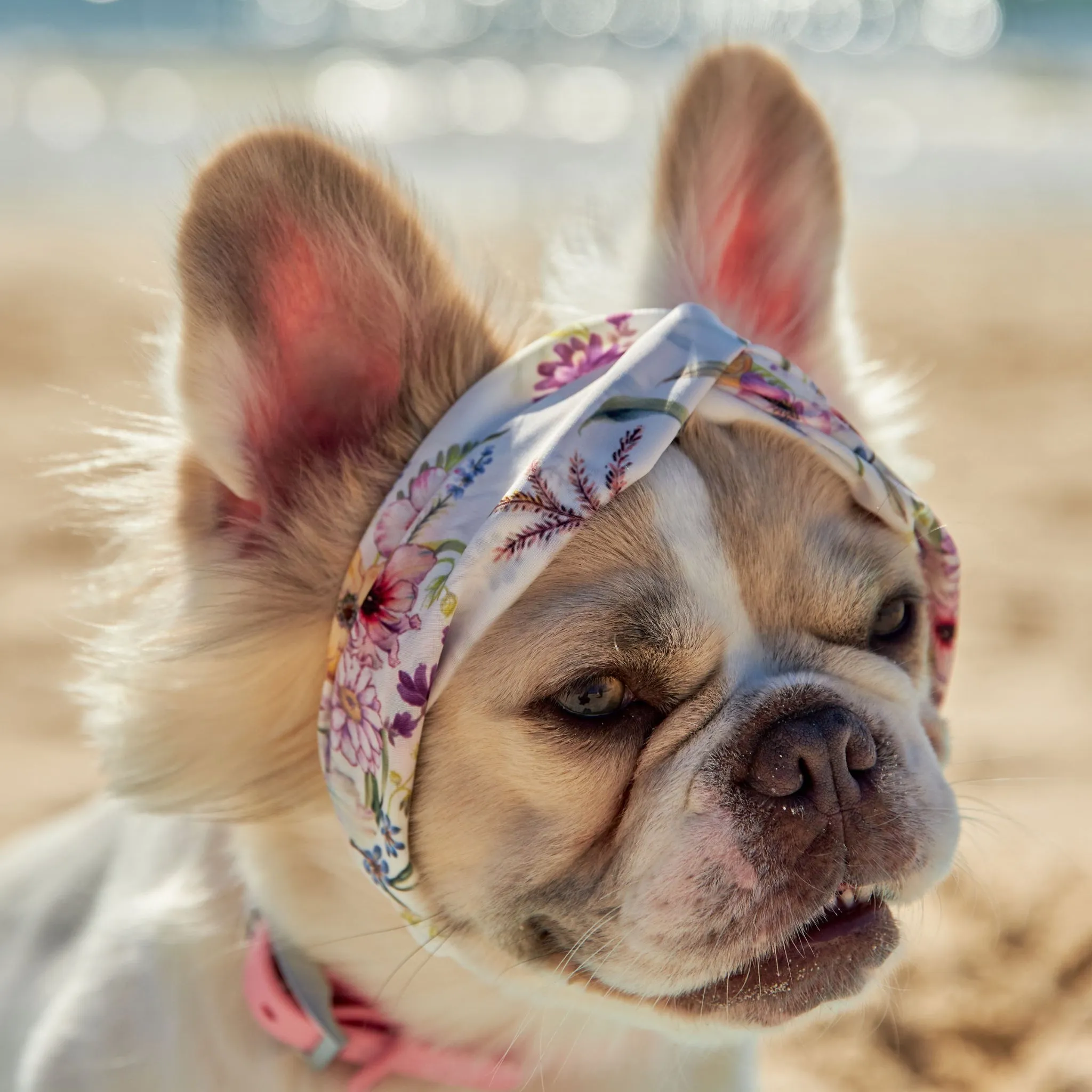 Garden Oasis Dog Twist Headband