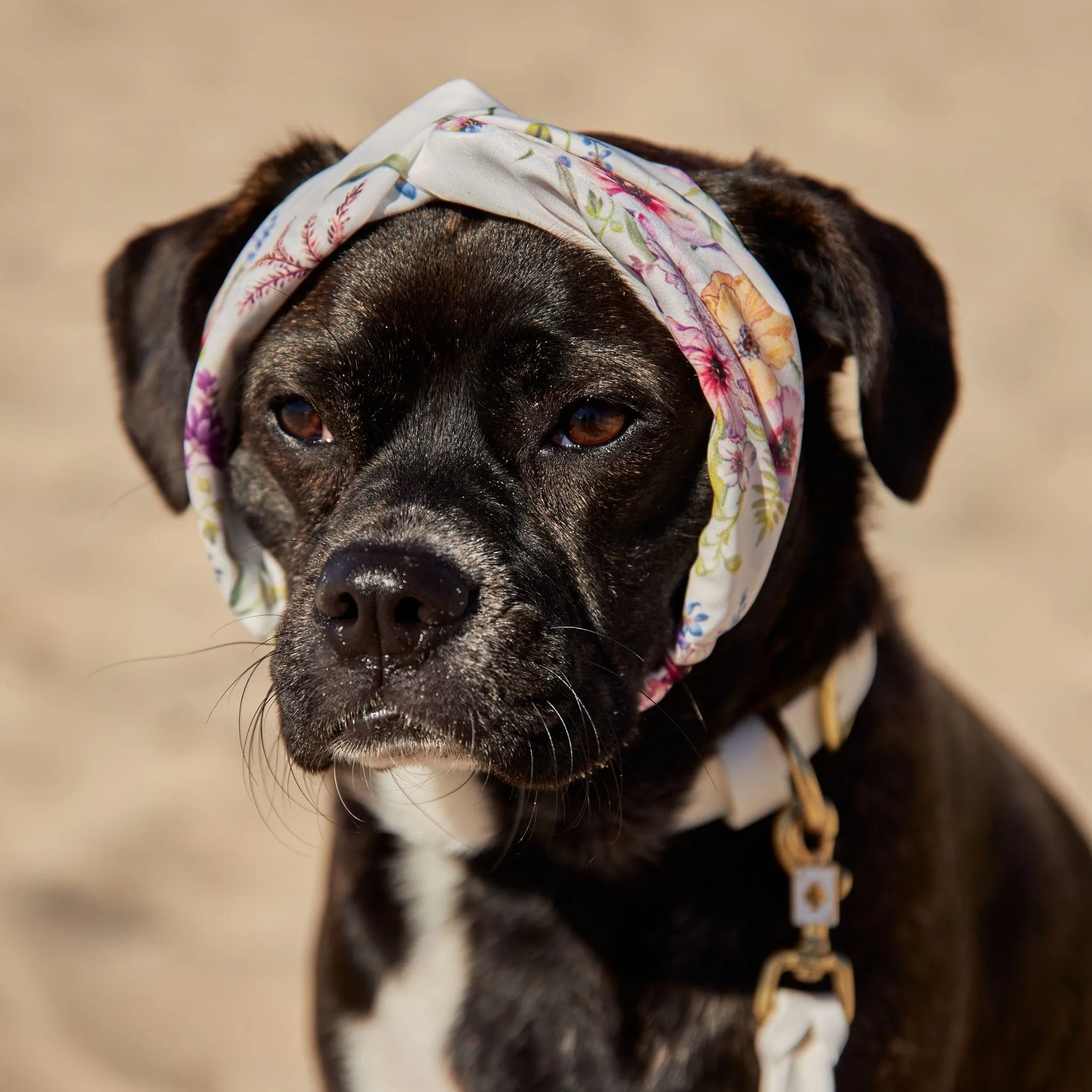 Garden Oasis Dog Twist Headband
