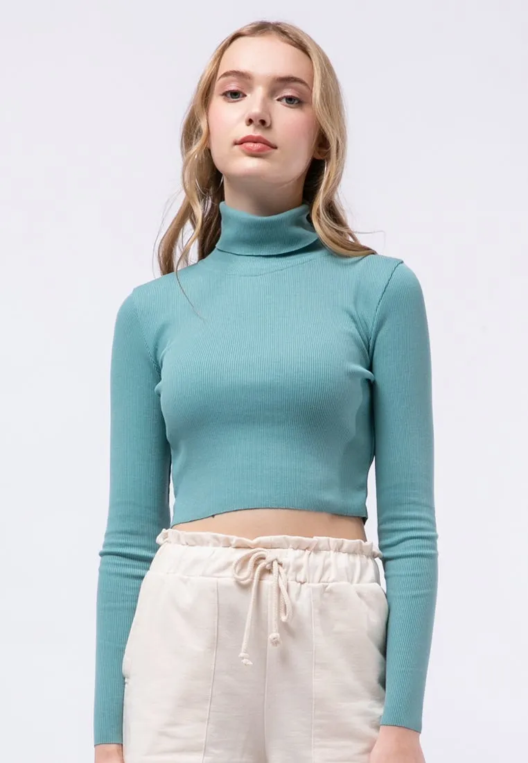 High Neck Crop Top