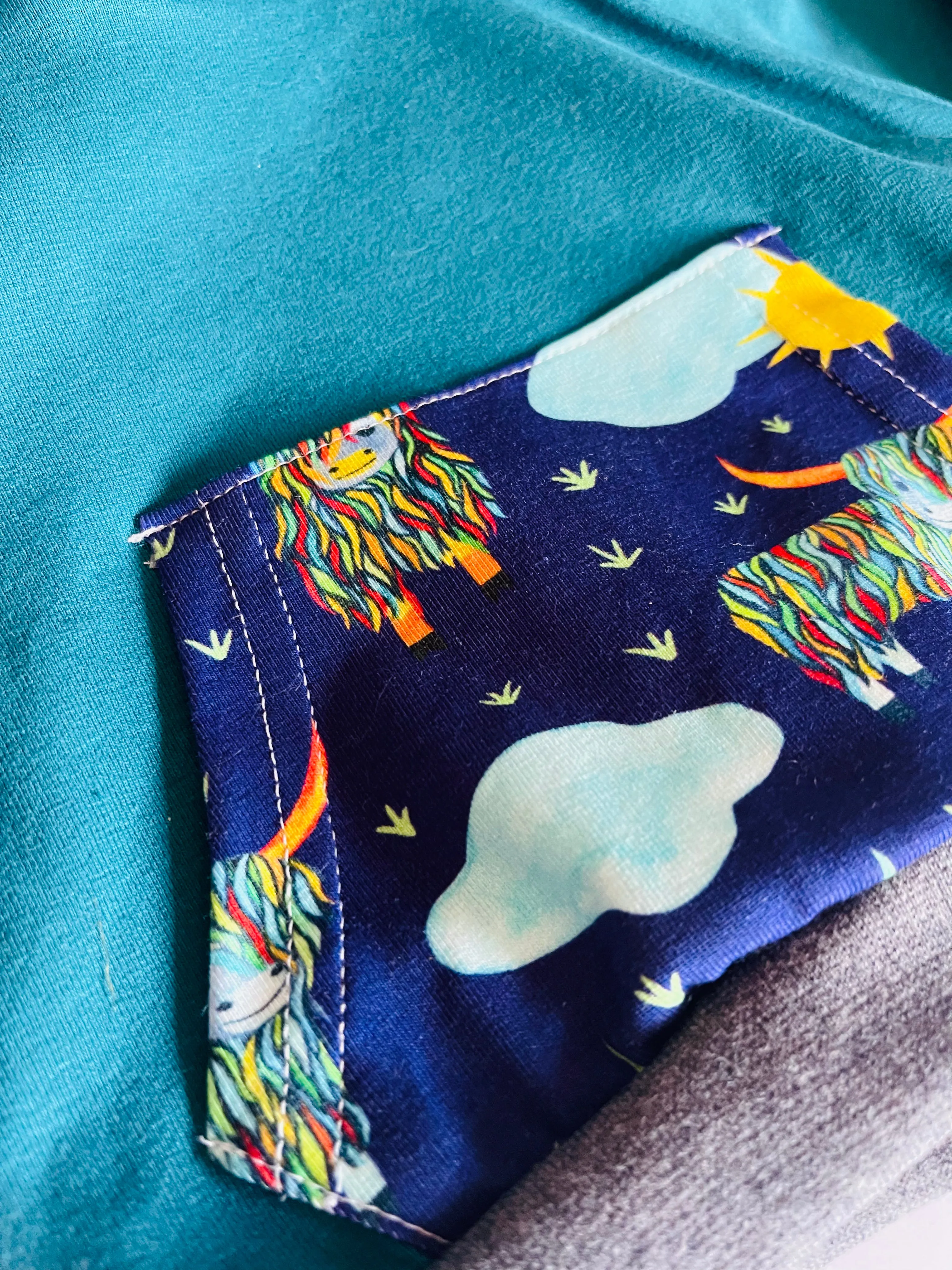 Highland Cow Hoodie - Newborn
