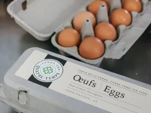 La Ferme des Quatre-Temps Eggs