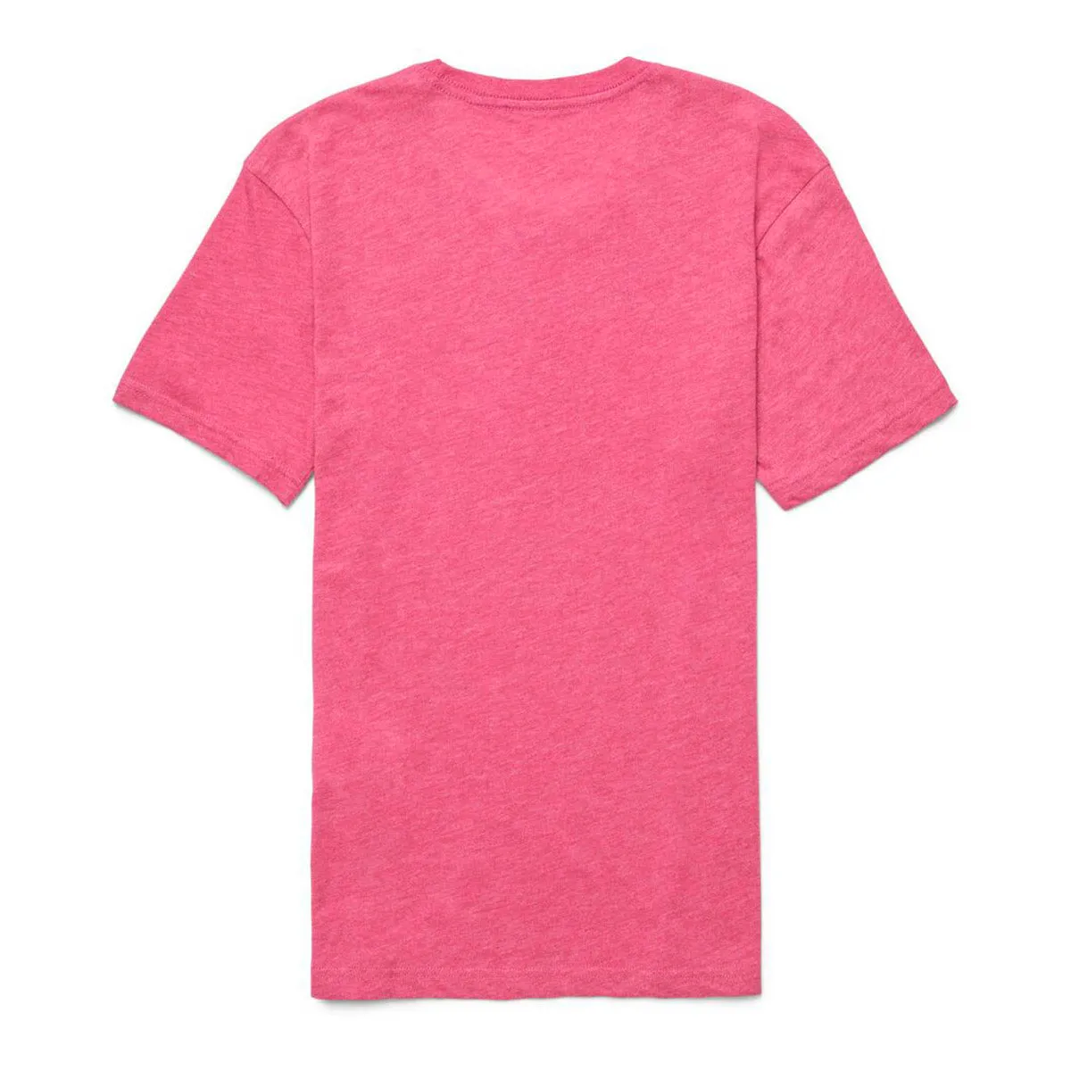 Llama Sequence Organ T-Shirt W