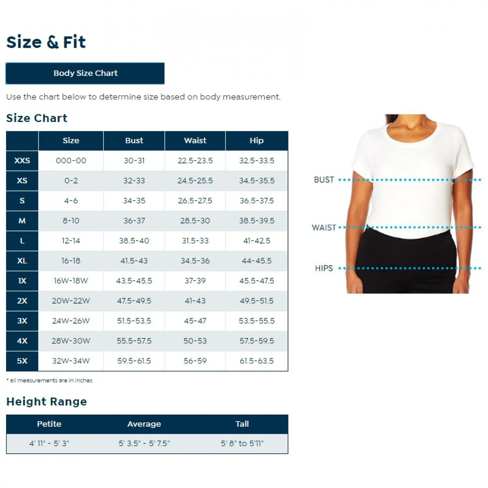 MOTTO Women's Ponte Knit Structured Popover Top