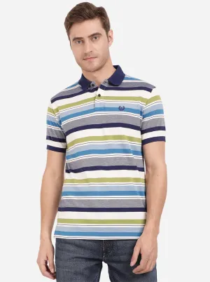 Multicolor Striped Slim Fit Polo T-Shirt | Greenfibre