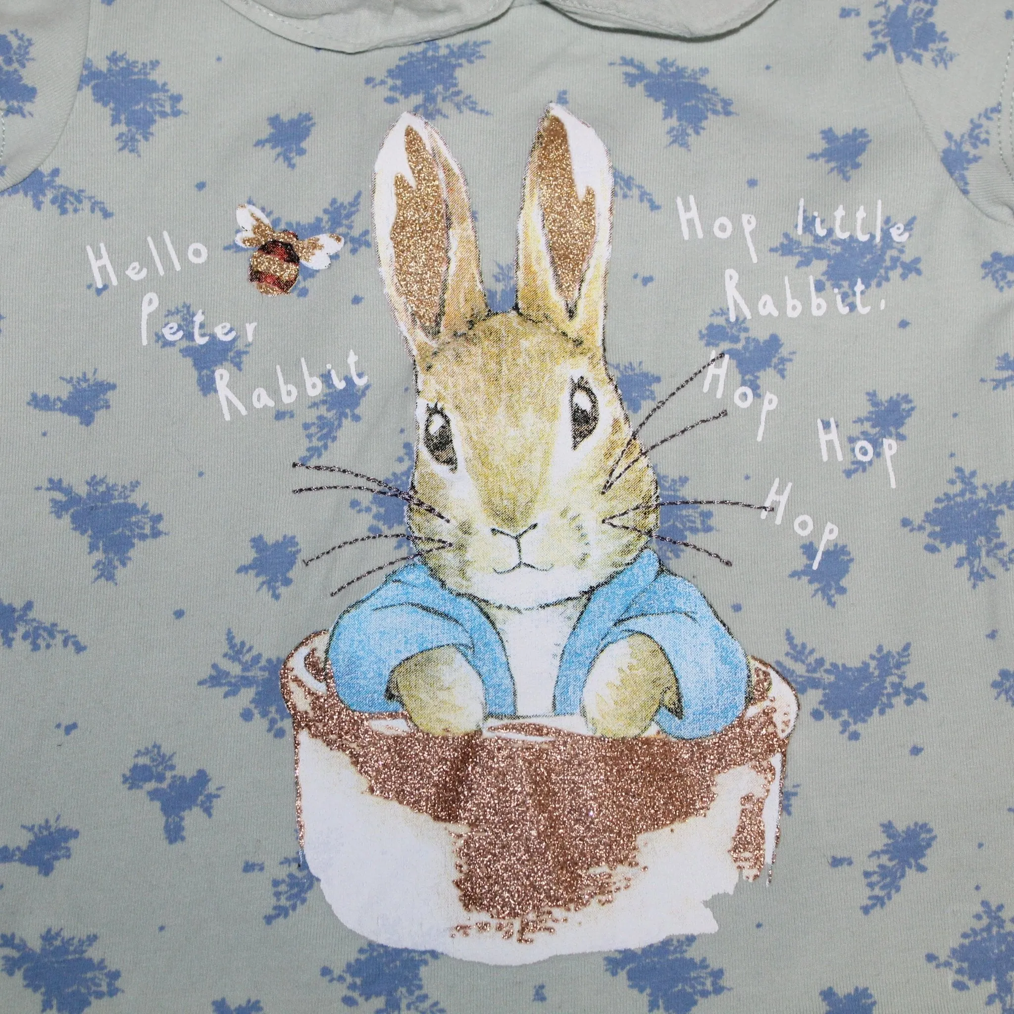 Peter Rabbit Summer Outfit