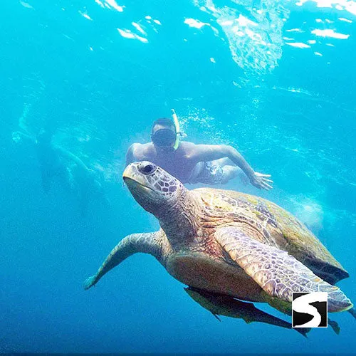 Private Boat Excursion To Koh Tao & Koh Nang Yuan - The Snorkeling Paradise