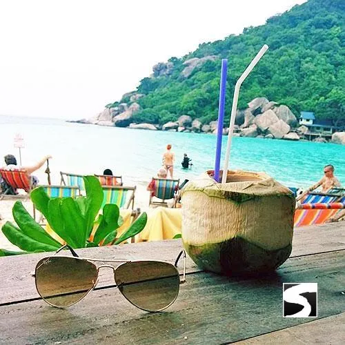 Private Boat Excursion To Koh Tao & Koh Nang Yuan - The Snorkeling Paradise