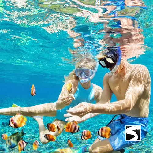 Private Boat Excursion To Koh Tao & Koh Nang Yuan - The Snorkeling Paradise