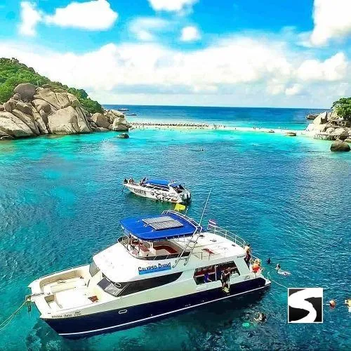 Private Boat Excursion To Koh Tao & Koh Nang Yuan - The Snorkeling Paradise