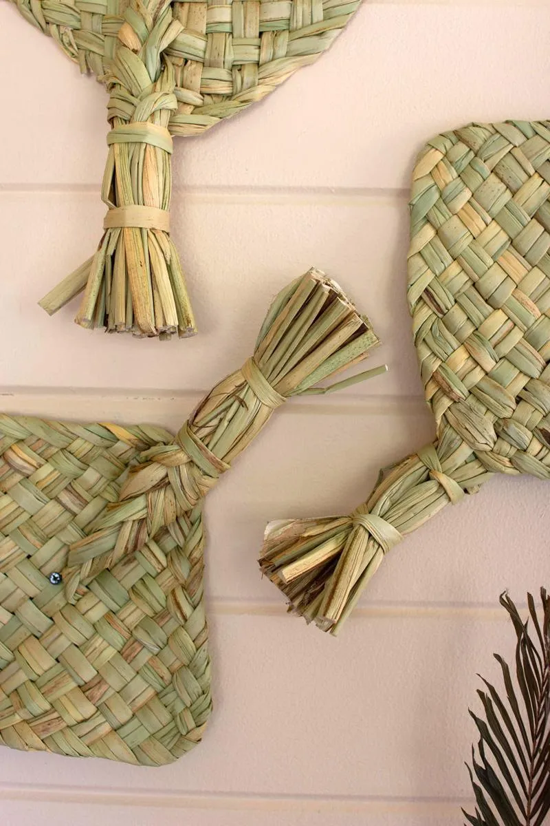 Seagrass Fan (Pack of 6)