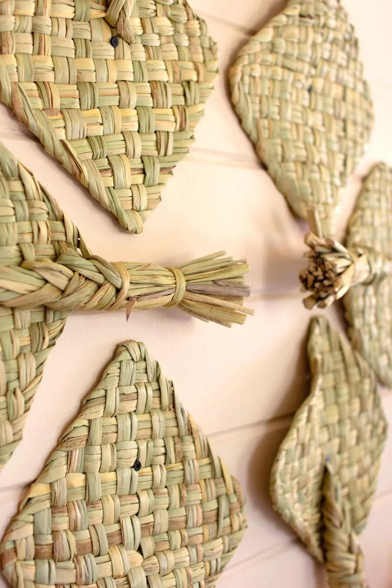 Seagrass Fan (Pack of 6)