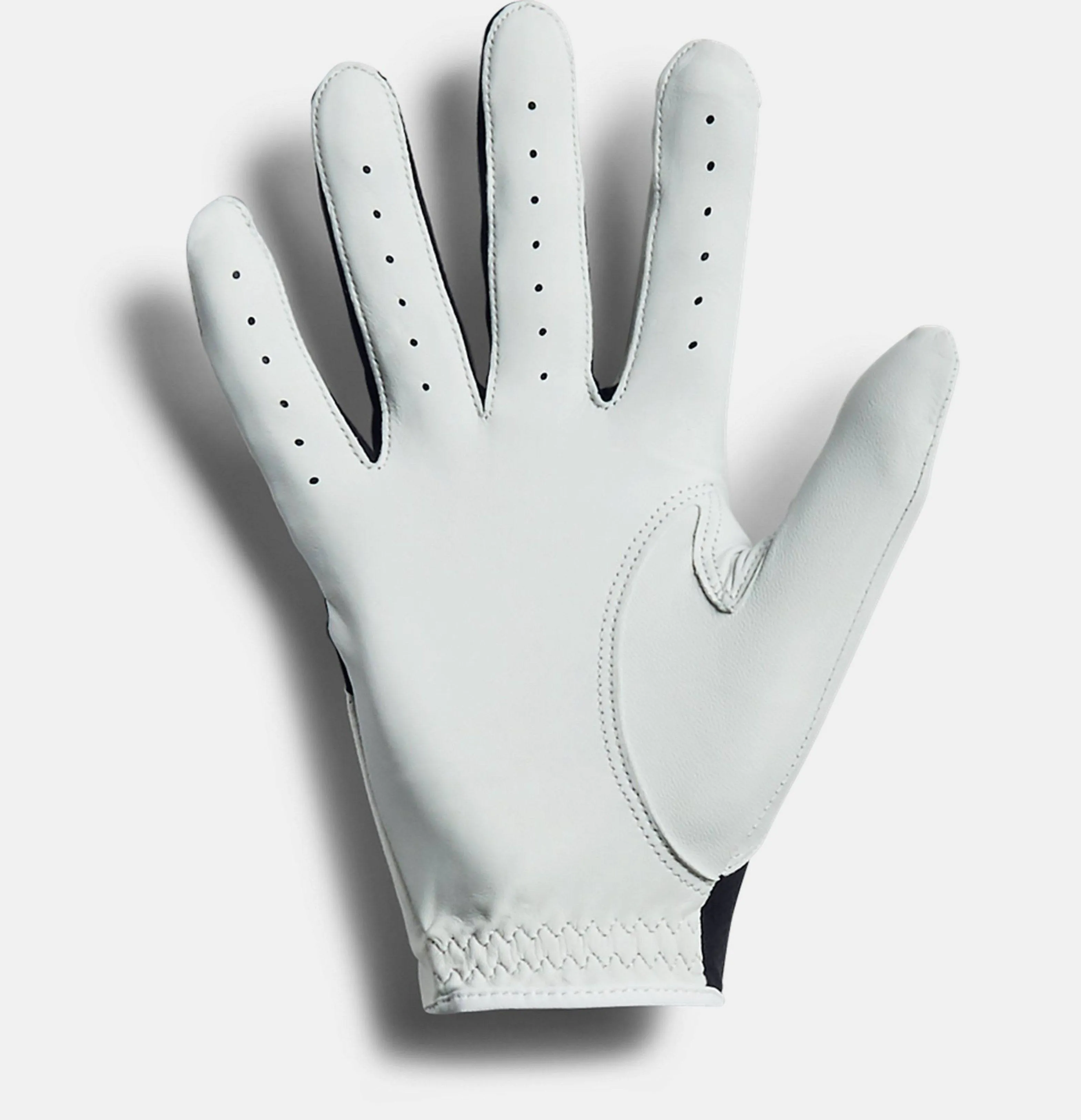 Under Armour Mens Iso-Chill Golf Glove - WHITE / BLACK